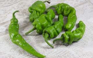 Что можно сажать на грядке после перца