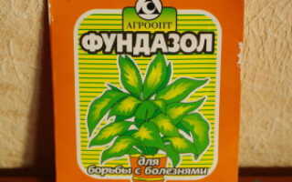 Как укрыть на зиму клематис – узнаем все по порядку