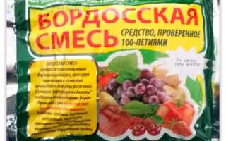 Обработка сада бордоской смесью весной