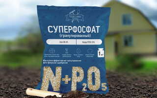Удобрения для картофеля – учимся питать грядку безопасно
