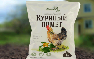 Подкормка куриным пометом овощей: рецепты и нормы расхода удобрения