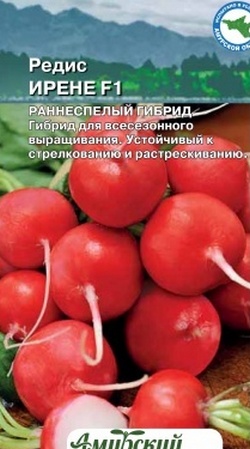 Редис Ирене