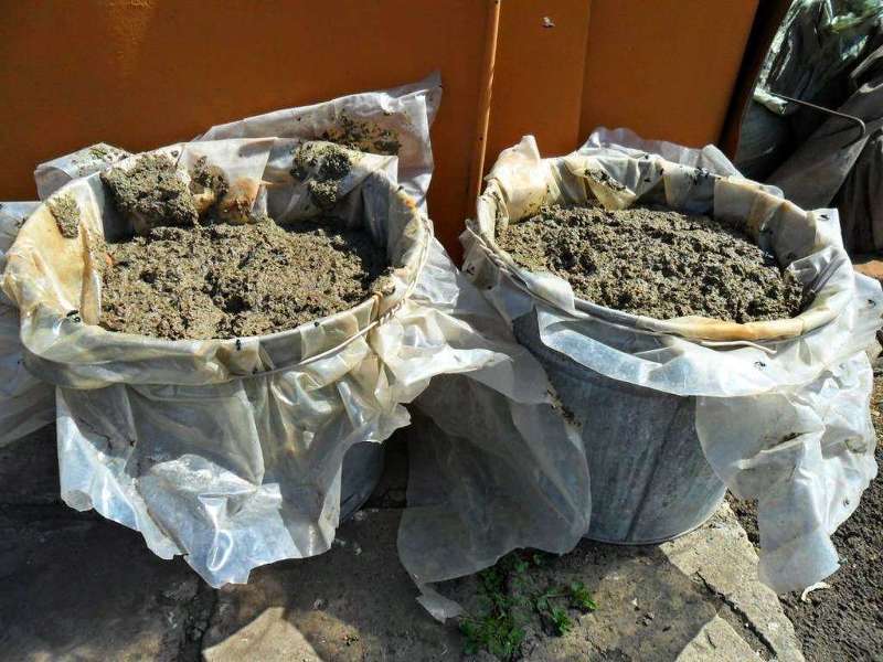 Приготовление раствора из куриного помета