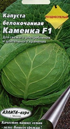 Капуста Каменка F1