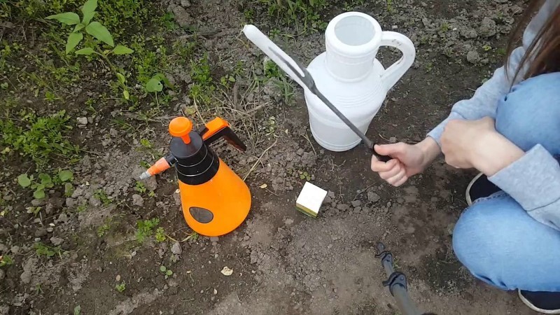 Готовим средство от тли на водке