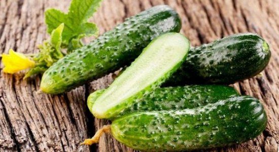 Лучшие сорта огурцов