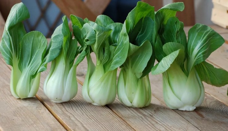 Китайская капуста Пак чой