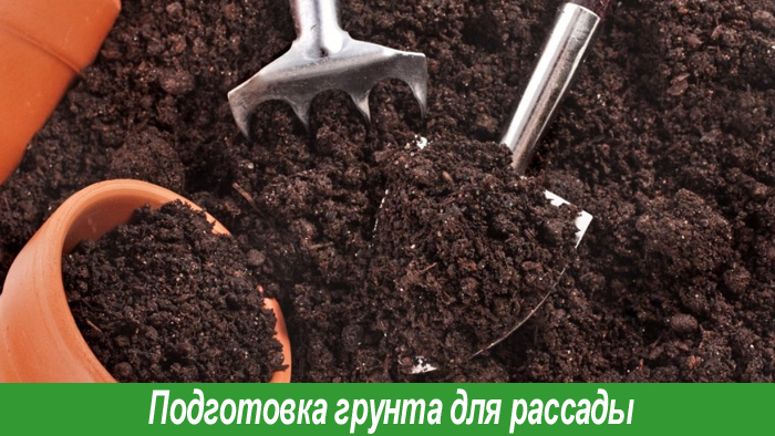 Подготовка грунта для рассады перца
