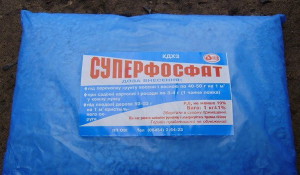 На фото - суперфосфат для подкормки смородины перед зимой, udec.ru