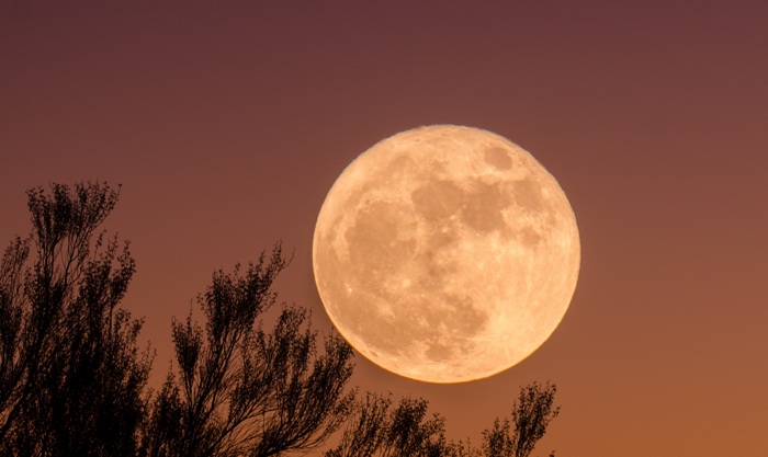 Полнолуние