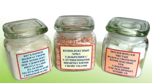 На фото - комплексные минеральные подкормки, kosht.info