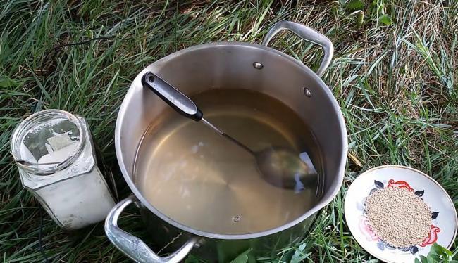 Готовим дрожжевое удобрение для рассады