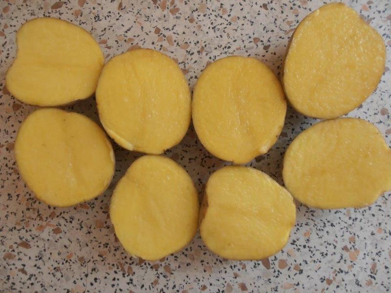 Ранний картофель Гала