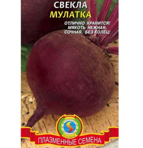 На фото - семена свеклы Мулатка, green-club.com.ua