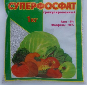 На фото - суперфосфат калия для подкормки томатов, irecommend.ru