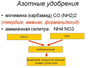 Фото азотных удобрений для смородины, 900igr.net