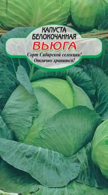 Капуста Вьюга